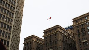 pexels-photo-1101494888