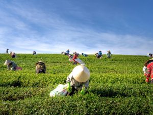 Kearney Acquires Context Network