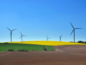 U.S. Companies Advance ESG Reporting