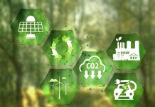 Bain & Company Partners with Terralytiq to Drive Supply Chain Emission Reductions